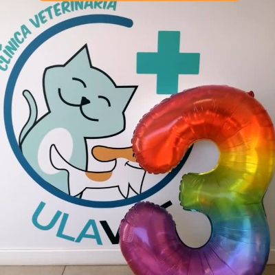 I ja van 3 anys amb vosaltres!! 3️⃣🎂

La família d'Ulavet ha crescut de totes les maneres possibles i no podriem estar més contentes!! 🤗🐶🐱👩‍⚕️🙏

Gràcies per seguir amb nosaltres i fer-ho possible!! 🫶♾️🫶

🐾🐾🐾🐾🐾🐾🐾🐾🐾🐾🐾🐾🐾🐾🐾🐾🐾🐾

Y ya van 3 años con vosotros!! 3️⃣🎂

La familia de Ulavet ha crecido de todas laa maneras posibles y no podríamos estar más contentas!! 🤗🐶🐱👩‍⚕️🙏

Gracias por seguir con nosotras y hacerlo posible!!
🫶♾️🫶

#ulavetclinicaveterinaria #veterinaria #clinicaveterinaria #vetjob #vetlife