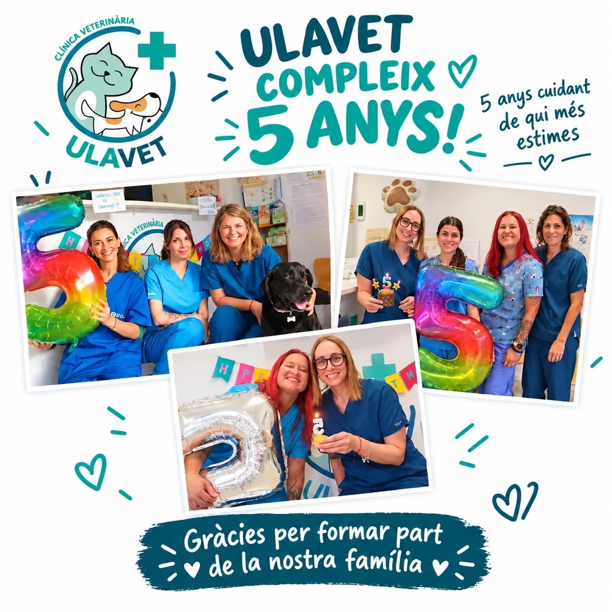 L'equip d'ULAVET celebrant el 5è aniversari de la clínica